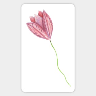 Tulip Sticker